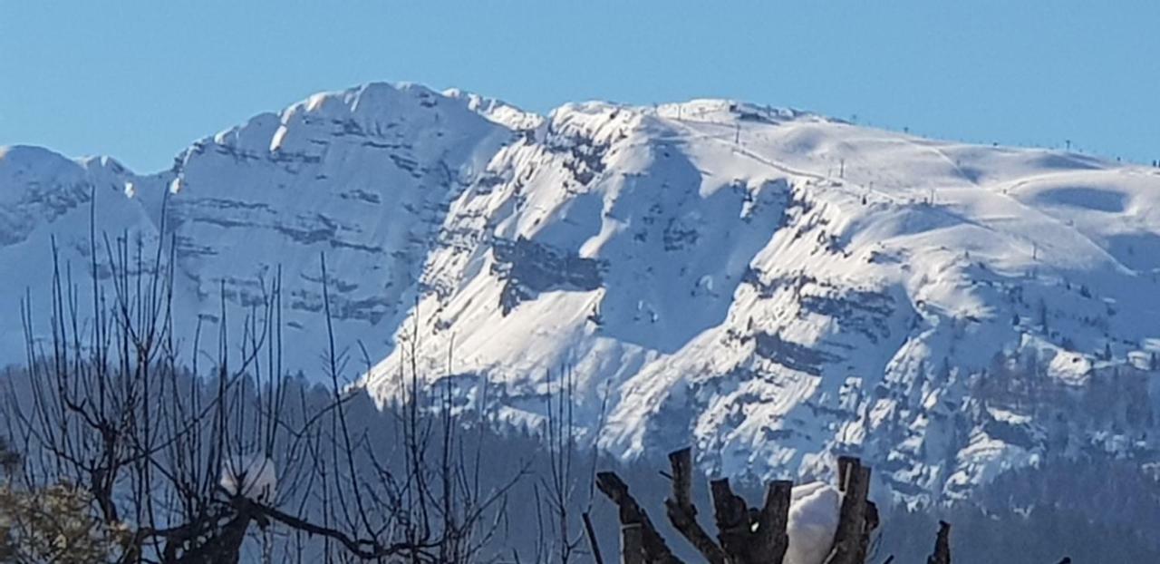 Zum Alten Forsthaus Reit im Winkl Exterior foto