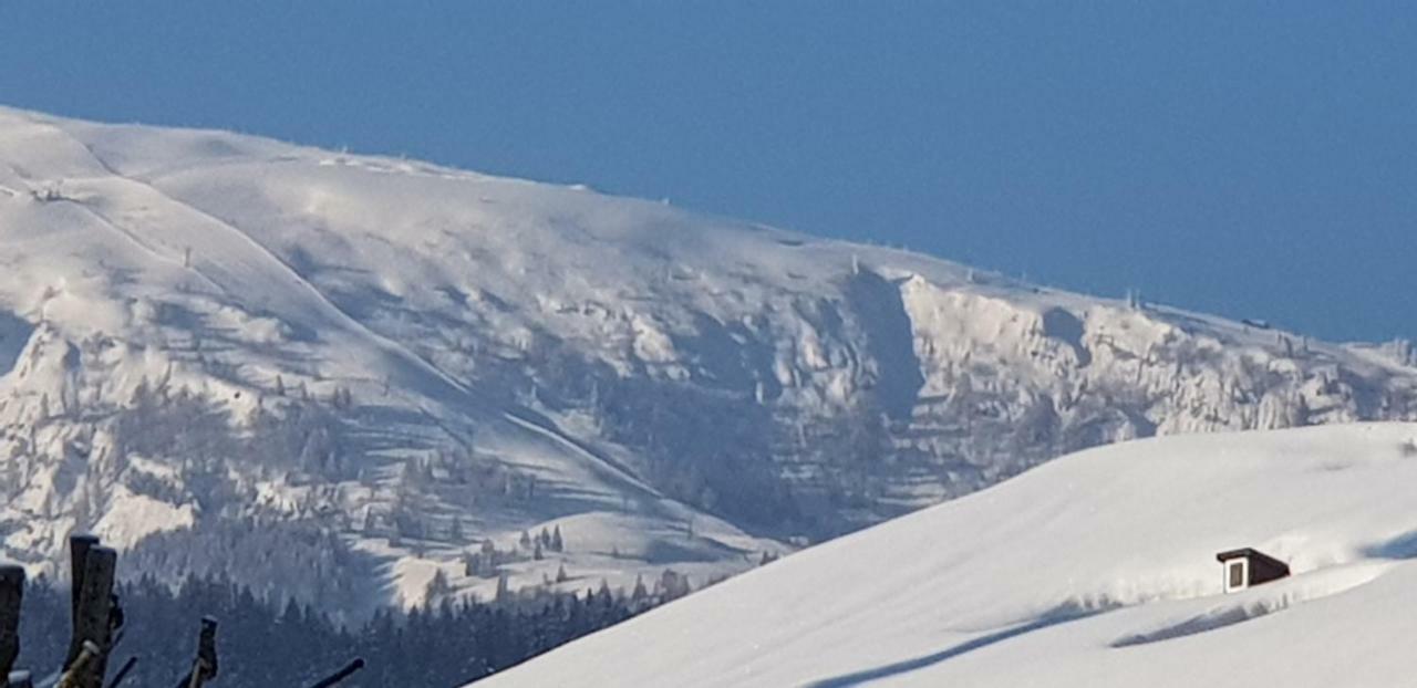 Zum Alten Forsthaus Reit im Winkl Exterior foto